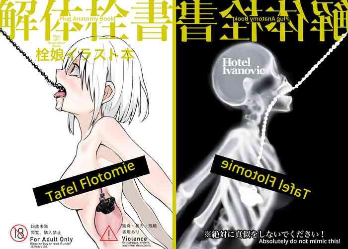 kaitai sensho plug anatomy book cover