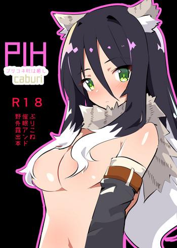 pih cover