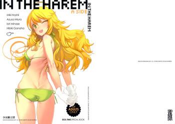 in the harem a side cover 1