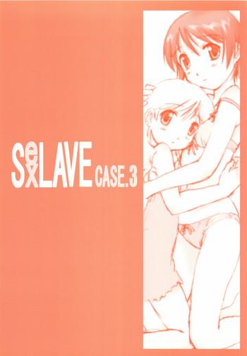sexlave case 3 cover