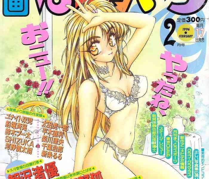 manga bangaichi 1996 02 cover