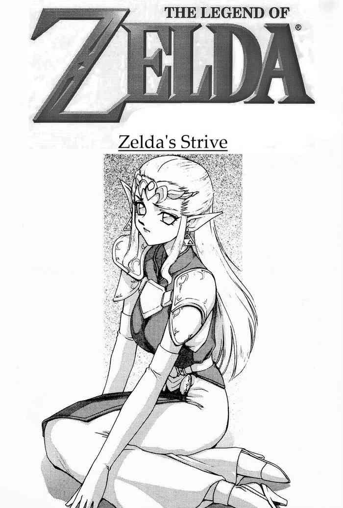 legend of zelda zelda x27 s strive cover