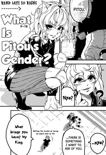 what is pitou x27 s gender cover
