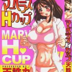 marvelous h cup cover