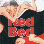 red bed cover