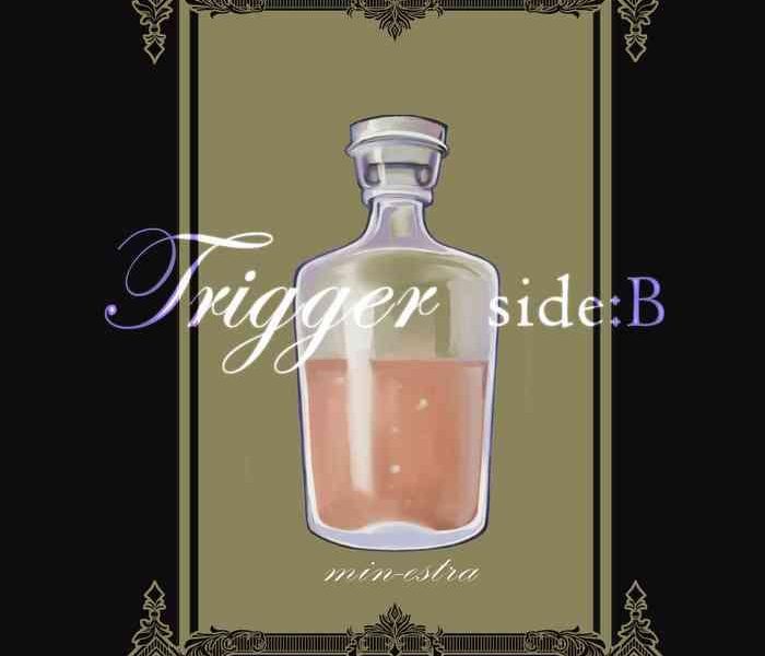 trigger side b r18 cover
