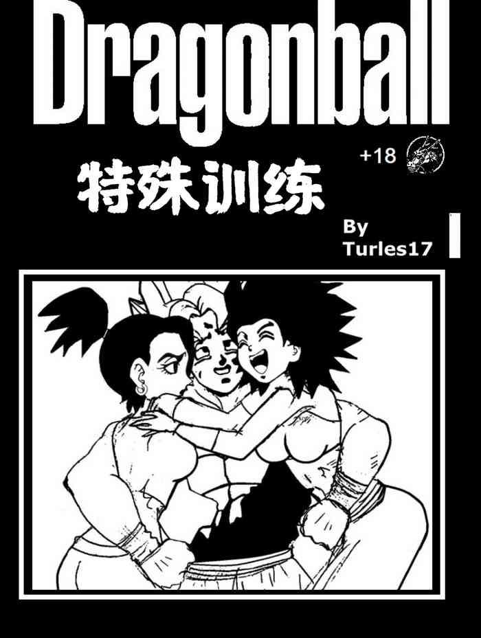 turles17 special training dragon ball super chinese cover