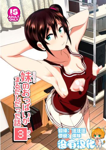 imouto no oppai ga marudashi datta hanashi 3 cover