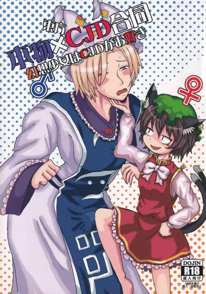 touhou honmono cjd goudou gensou shoujo ha cjd ga osuki cover