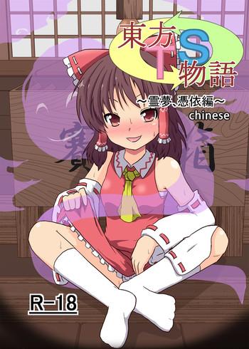 touhou ts monogatari cover 1