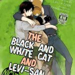 the black and white cat and levi san cover