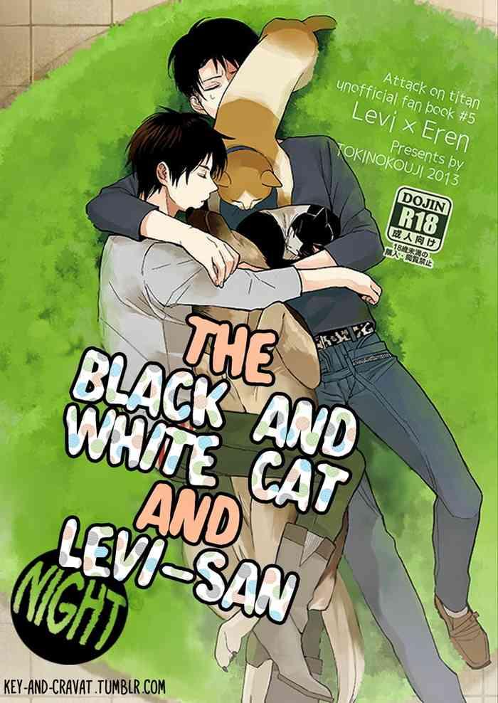 the black and white cat and levi san cover