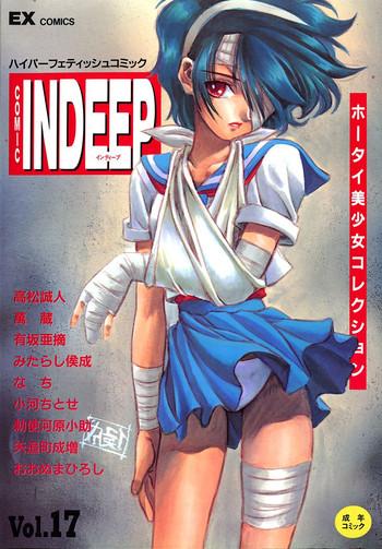 indeep vol 17 cover