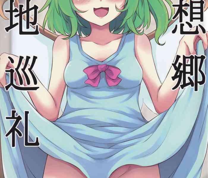 c99 sinkirou dyon gensoukyou seichi junrei touhou project chinese cover